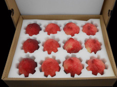 �P��ˮ���\ݔ���b����Ҫ������Щ��