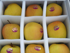 ������b���Ϟ�ʲôҪ�������ރ�(n��i)�Ѓ�(n��i)�r��