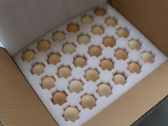 �������u�����f���b���õķ������F(xi��n)��