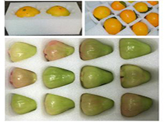 ��ʲôˮ�����bԽ��(l��i)Խ��A�����ް��b���ϣ�